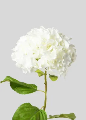 Tall Hydrangea Faux Flower in White - 45"