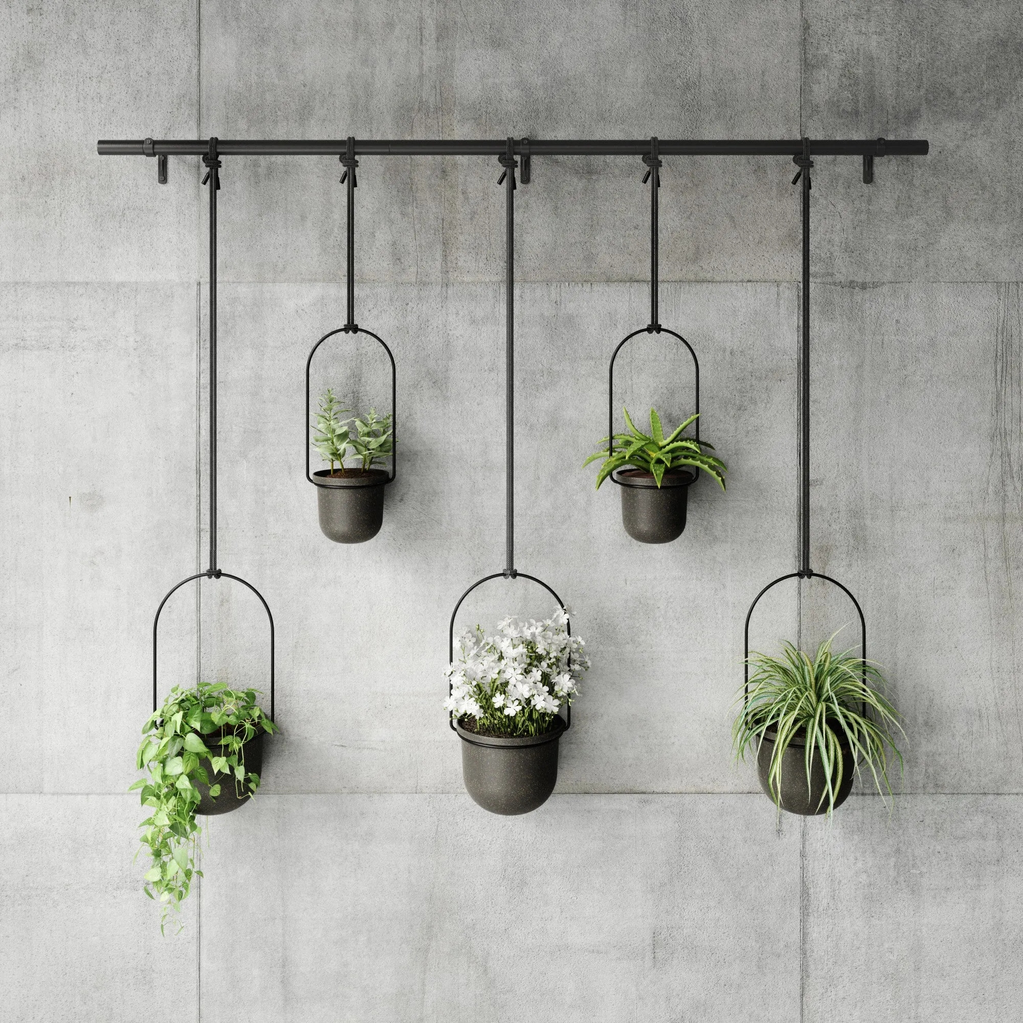 Triflora Hanging Planters, Set of 5